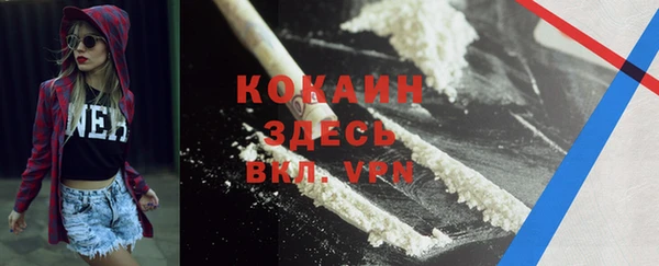 прущие грибы Кулебаки