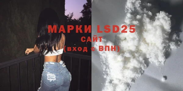 прущие грибы Кулебаки