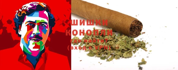 прущие грибы Кулебаки