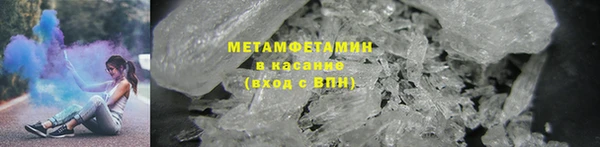прущие грибы Кулебаки