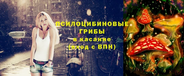 гашик Кукмор