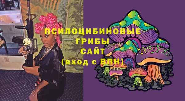 прущие грибы Кулебаки