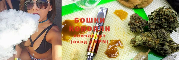 прущие грибы Кулебаки