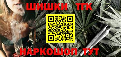 стаф Гатчина