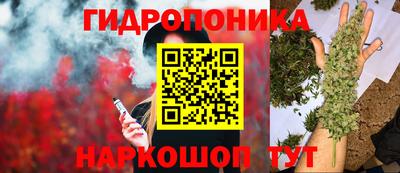 не бодяженный Гусев