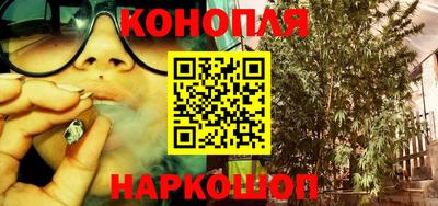 стафф Бийск