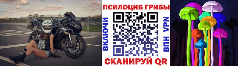 Галлюциногенные грибы прущие грибы купить сайты Верхняя Пышма